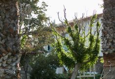 Others 3 Flow Datca Surf & Beach Hotel