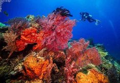 Others 3 Ponte Villas