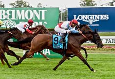 Others 4 Art Gallery Suites JFK Airport