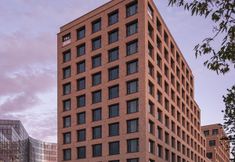 其他 3 The Niu Dwarf