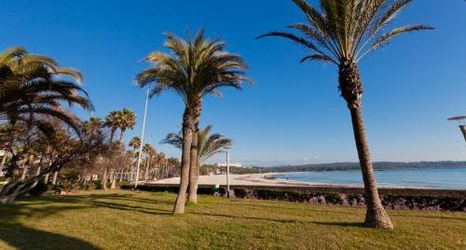 Others 2 Hotel Brisa Marina