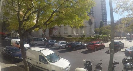 기타 2 Saldanha Prestige