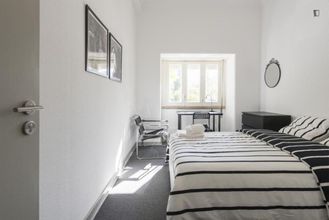 其他 4 Saldanha Prestige