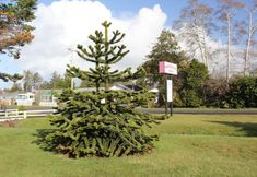 อื่นๆ 2 Mariner's Cove Inn