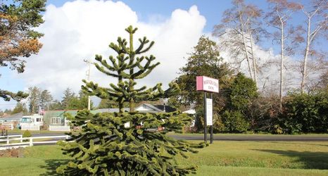 อื่นๆ 2 Mariner's Cove Inn