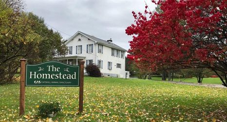 기타 2 The Homestead