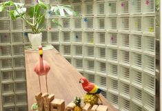 Others 4 Hostel Enisia Namba