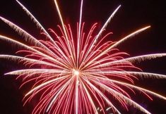 Others 4 Naoshima Tsutsujiso Lodge