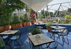 其他 3 Vedado Azul