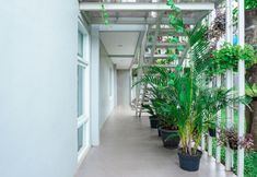 อื่นๆ 4 Rumah Teteh