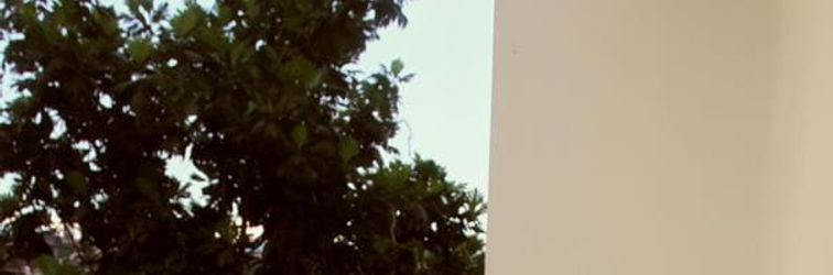 其他 Bantal Guling Pasteur