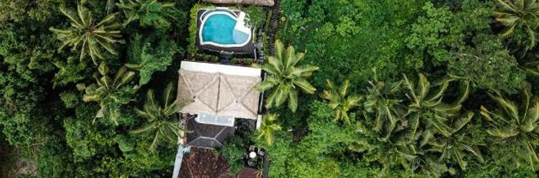 其他 The Pari Sudha