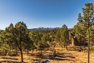 其他 4 Christi and Don's Nuthouse