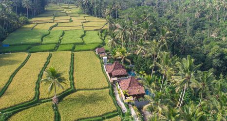 Others 2 Mandana Ubud Villa