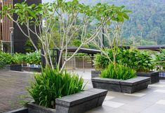 その他 6 7stonez Suites Midhills Genting Highlands