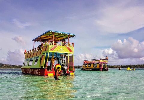 Others Birdie's Nest