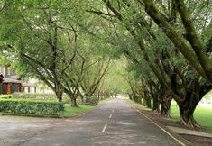 Others 3 Love Fun House