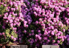 Others 6 Journey East Hampton