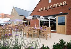 อื่นๆ 3 Paisley Pear