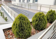 其他 5 Hotel Quattro