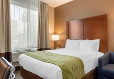 Others 4 Comfort Inn & Suites near JFK Air Train