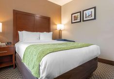 Others 5 Comfort Inn & Suites near JFK Air Train