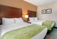Others 7 Comfort Inn & Suites near JFK Air Train