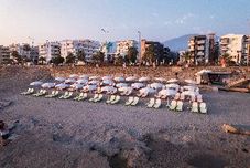 Others Scylax Family Club