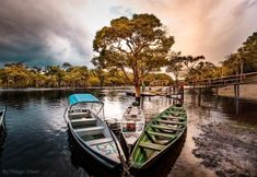 Others 5 Pousada Amazon Tupana Lodge