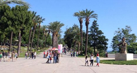 その他 2 Ramona Kale