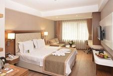 其他 Blue Regency Hotel