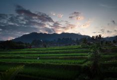 其他 3 The Kanjeng Signature Sidemen