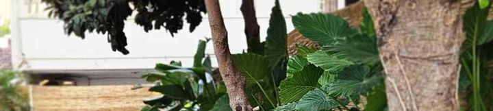 Lain-lain 4 Nephos Hotel