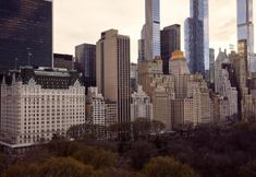 其他 2 Fasano Fifth Avenue I Private Members Club & Hotel