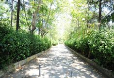 Lain-lain 7 Valide Hotel