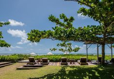 其他 3 Pousada Da Amendoeira