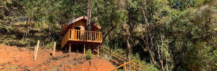 其他 Dom Hotel Boutique