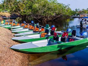 其他 4 Tucunare Sport Fishing