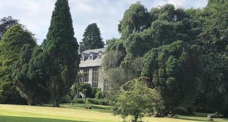 기타 2 Cornish Holiday - 91 Hengar Manor