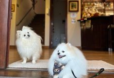 其他 3 Pousada Das Lavandas