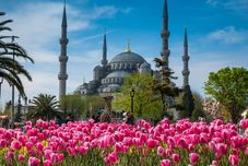 Others Zeno Suites Hotel