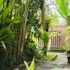 Hotel Main Pic 1 Mancur Guesthouse, Kubu Sari Ubud Hotels