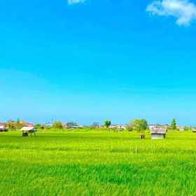 Hotel Main Pic1Livin Sanur Villa，Royal Danish Honorary Consulate飯店