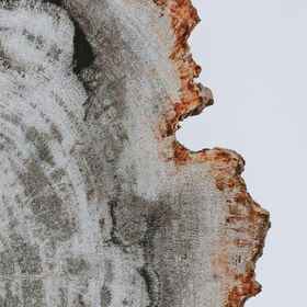 Hotel Main Pic1Legends Beachfront Resort，乌鲁瓦图断崖飯店