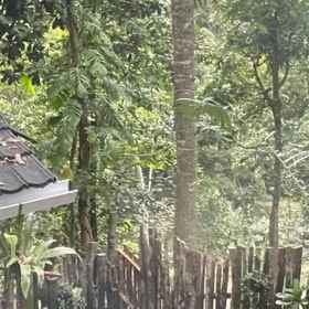 Hotel Main Pic 1 Jonny's House, Labuhan Haji Hotels