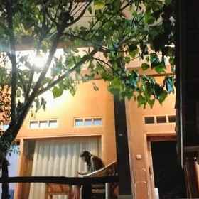 Hotel Main Pic 1 Fullmoon homestay, Mandalika International Circuit Hotels