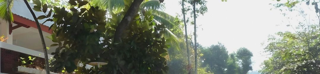 기타 Bunga Ayu Bungalows & Restaurant