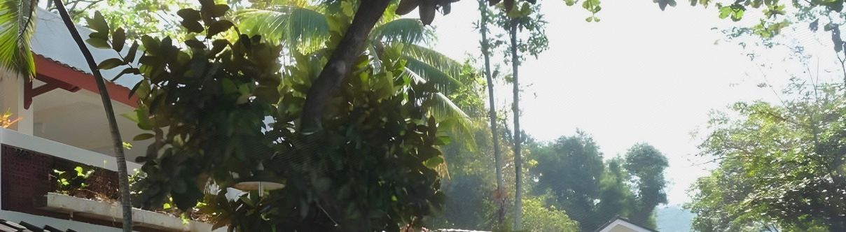 기타 Bunga Ayu Bungalows & Restaurant