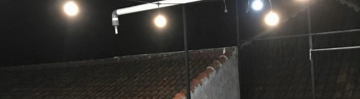 Others Kost & Homestay Fafa Banyuwangi