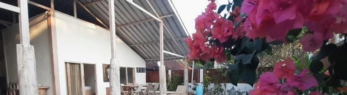 อื่นๆ DAVID VILLA